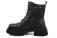 LY223-73B
