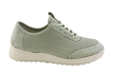 2A81-252LS