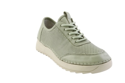 2A81-252LS